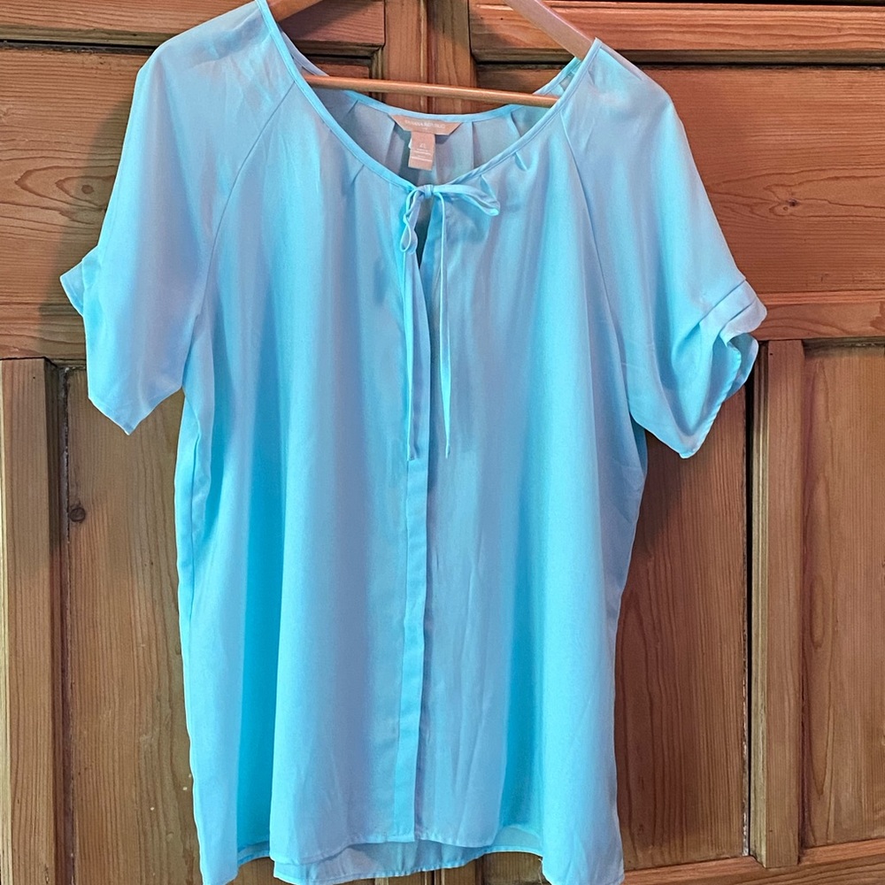 Banana Republic pale blue blouse